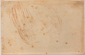ワシのスケッチ 作： Michelangelo Buonarroti