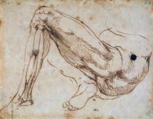 脚の研究 作： Michelangelo Buonarroti