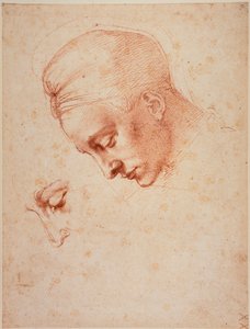 レダ "の頭部のための研究 作： Michelangelo Buonarroti