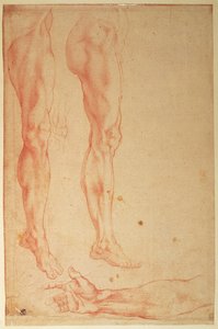 脚と腕の研究（紙に赤いチョーク） 作： Michelangelo Buonarroti