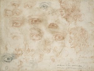 二つの頭の研究、1525年頃（紙にチョーク） 作： Michelangelo Buonarroti