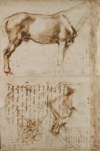 歩兵を攻撃する馬と騎手の研究、16世紀初頭 作： Michelangelo Buonarroti