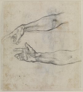 システィーナ礼拝堂のフレスコ画「ノアの酔態」のために伸ばされた腕の習作、1508-09年頃（紙に黒チョーク） 作： ミケランジェロ・ブオナローティ