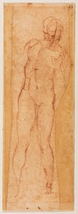 男らしい人物のための習作 作： Michelangelo Buonarroti