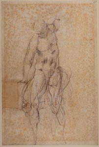 復活したキリストの研究 作： Michelangelo Buonarroti