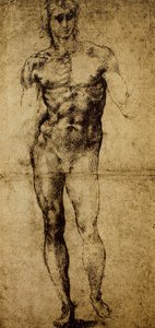 男性のヌード、ミケランジェロブオナローティ（1475〜1564）、絵、パリ、ルーヴル美術館の研究