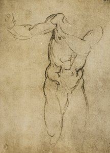 ミケランジェロが描いた男性的なバストの研究。カーサブオナローティ（フィレンツェ）