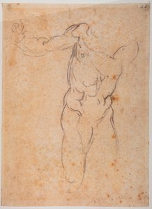 システィーナ礼拝堂の《パルディソ追放》のアダムのための習作 作： Michelangelo Buonarroti