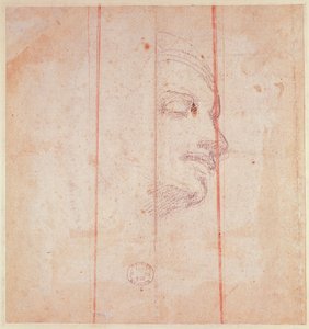 リビアのシビル首長のための研究（紙に黒いチョーク）（verso） 作： Michelangelo Buonarroti