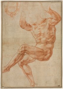 預言者ダニエルに関する裸の若者のための研究（直訳） 作： Michelangelo Buonarroti