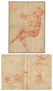 預言者ダニエルに関する裸の若者のための研究（直訳）; 図 システィーナ天井の習作 (裏面) 作： Michelangelo Buonarroti