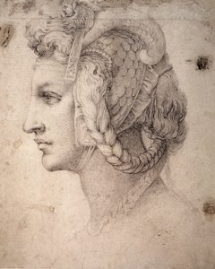 頭の研究 作： Michelangelo Buonarroti