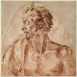 頭と肩の研究（紙にインク） 作： Michelangelo Buonarroti