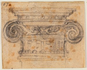 イオン資本の研究 作： Michelangelo Buonarroti
