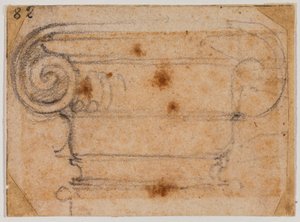 イオン資本の研究 作： Michelangelo Buonarroti