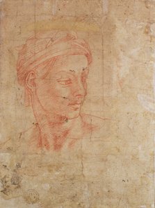 頭の研究（紙に赤いチョーク） 作： Michelangelo Buonarroti
