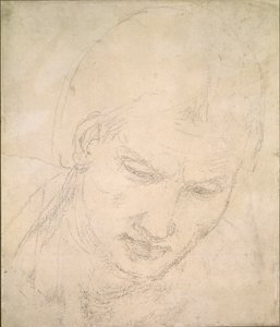 頭の研究、c1490-1560