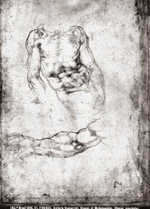 男性の胴体と腕の研究
