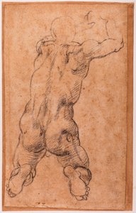 ひざまずく男性ヌードの習作 作： Michelangelo Buonarroti