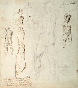 キリストの子供とノートの解剖図の研究（紙に黒いチョークと茶色のインク）（verso） 作： Michelangelo Buonarroti