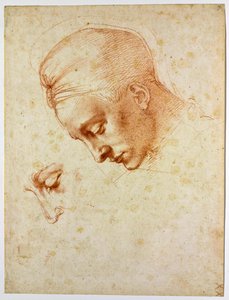 レダの首長、1530年頃の研究 作： Michelangelo Buonarroti
