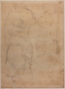 古代ヴィーナスの2つの研究 作： Michelangelo Buonarroti