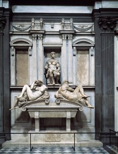 不明な画像 作： Michelangelo Buonarroti