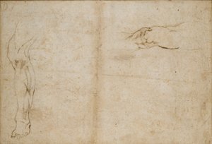 Verso: 男性の足の研究、c1490-1560 作： Michelangelo Buonarroti