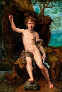 "Representation de saint jean Baptiste" (洗礼者聖ヨハネ) Peinture de Michael Coxcie (Michiel Coxien) (De Coxien, De Coxcie, Coxius, Van Coxcie et Coxie) (1499-1592) 16eme siecle 木に油彩 Dim 104x73 cm Private Collection 作： Michiel I Coxie or Coxcie