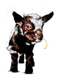 赤ちゃんヤギ、白、2020 作： Mike Davis