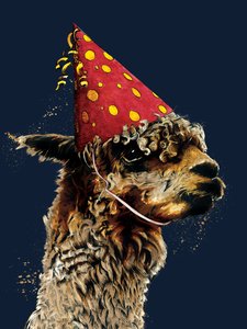 ミッドナイトブルーのバースデーアルパカ、2020年 作： Mike Davis