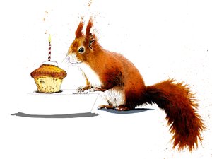 2020年白地にリスの誕生日
