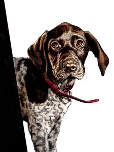 白地にさようなら子犬、2020 作： Mike Davis