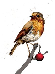 2020年白地にクリスマスロビン 作： Mike Davis
