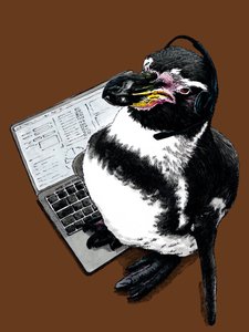 2020年バーントオレンジの新しい仕事ペンギン
