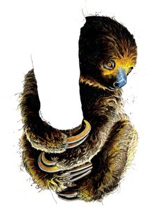 Talita The Sloth on White, 2019   1421521   ja       japanese Successfully Translated  Original: Vue prise dans un atelier ... Translat: Vue prise dans un atelier ... 1235428 ja japanese Successfully Translated Original: Still Life with Oysters, c1616-1666 作： Mike Davis