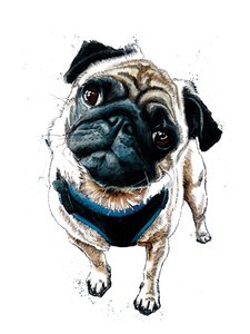 Teddy The Pug on White, 2019   1421528   ja       japanese Successfully Translated  Original: Intemperance Translat: Intemperance 1272506 ja japanese Successfully Translated Original: The French attempt to recapture Calais from England, 1350, ca 1470-1475. 作： Mike Davis