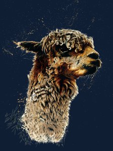ミッドナイトブルーのアルパカ、2020 作： Mike Davis
