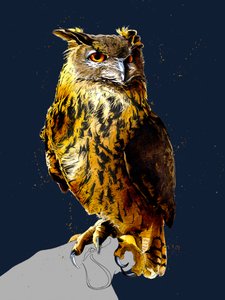 ミッドナイトブルーのワシミミズク、2020 作： Mike Davis