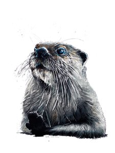白地にカワウソ、2020 作： Mike Davis