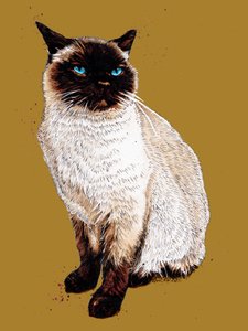 ゴールデン イエローのシャム猫、2020 作： Mike Davis