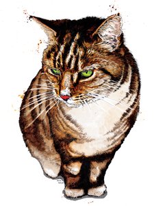 白地にトラ猫、2020 作： Mike Davis