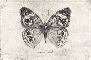  作： 