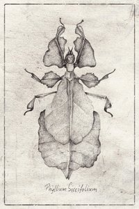  作： 