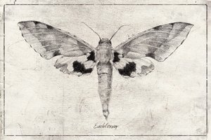  作： 