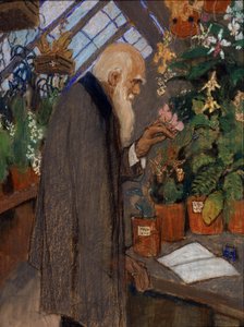 「「科学者チャールズ・ロバート・ダーウィン (1809-1882) がラングドン・ダウンの温室で植物を調べる肖像画」ミハイル・ドミトリエヴィチ・エズチェフスキー (1880-1928) による絵画 1920 州立ダーウィン博物館、モスクワ 作： Mikhail Dmitrievich Ezuchevsky