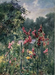 ホーリーホックス 作： Mildred Anne Butler