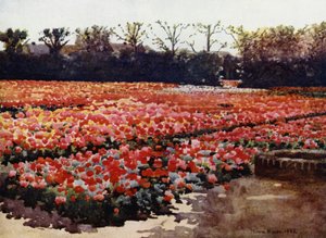 "They spring, they bud, they blossom fresh and faire, and decke the world with their rich pompous showes" (カラーリトグラフ)