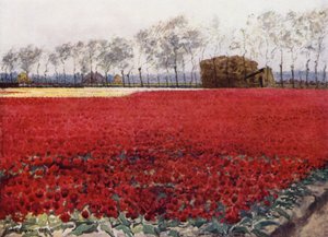 「燃えるように黒い心を隠してくれる紅い葉」（カラーリトグラフ 作： Mima Nixon