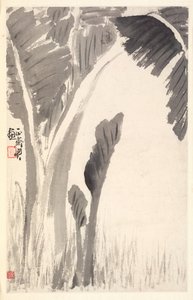 バナナの植物 作： Min Zhen